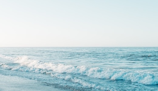 霧島聖子には結婚した旦那が？子供と歴代彼氏も含めて詳しく！